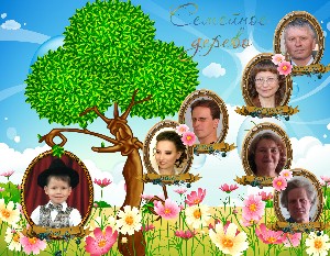 �����������